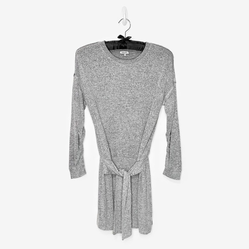 Splendid Addison Jersey Mini Dress Size XS‎ Gray Long Sleeve Soft Comfy Neutral